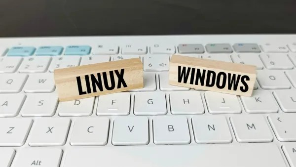 Comparaison Linux et Windows