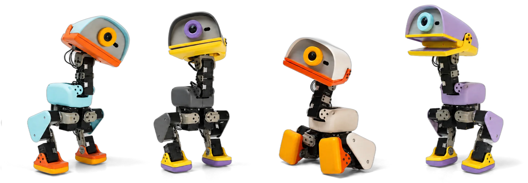 Trois robots Microduck posés sur un plateau vert, avec un humain en arrière-plan.