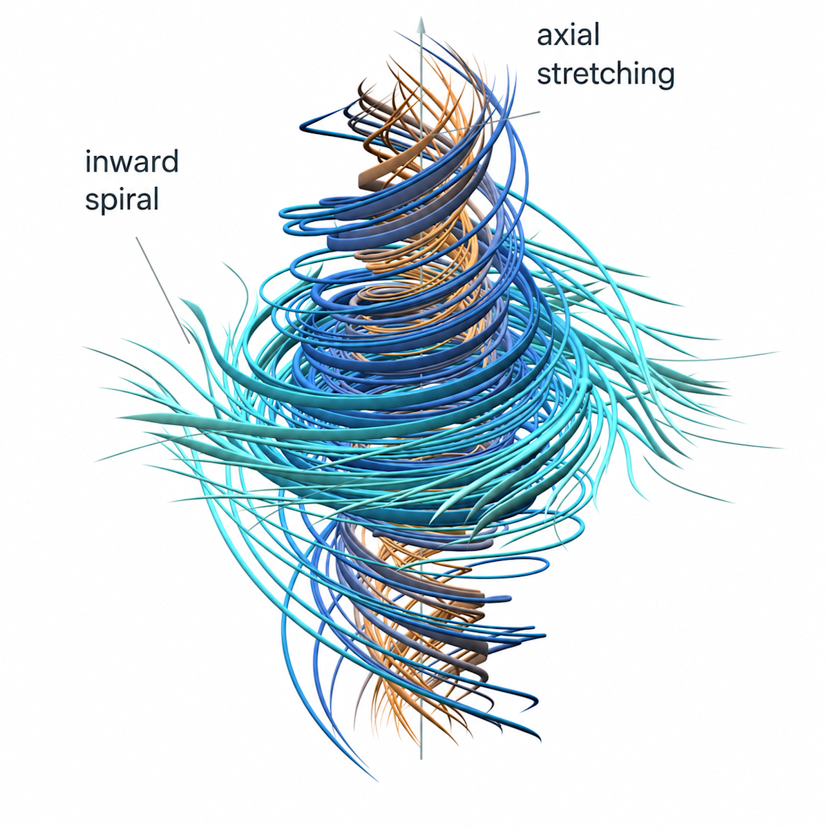 Diagramme du vortex de la solution Navier-Stokes : spirale vers l'intérieur et étirement axial