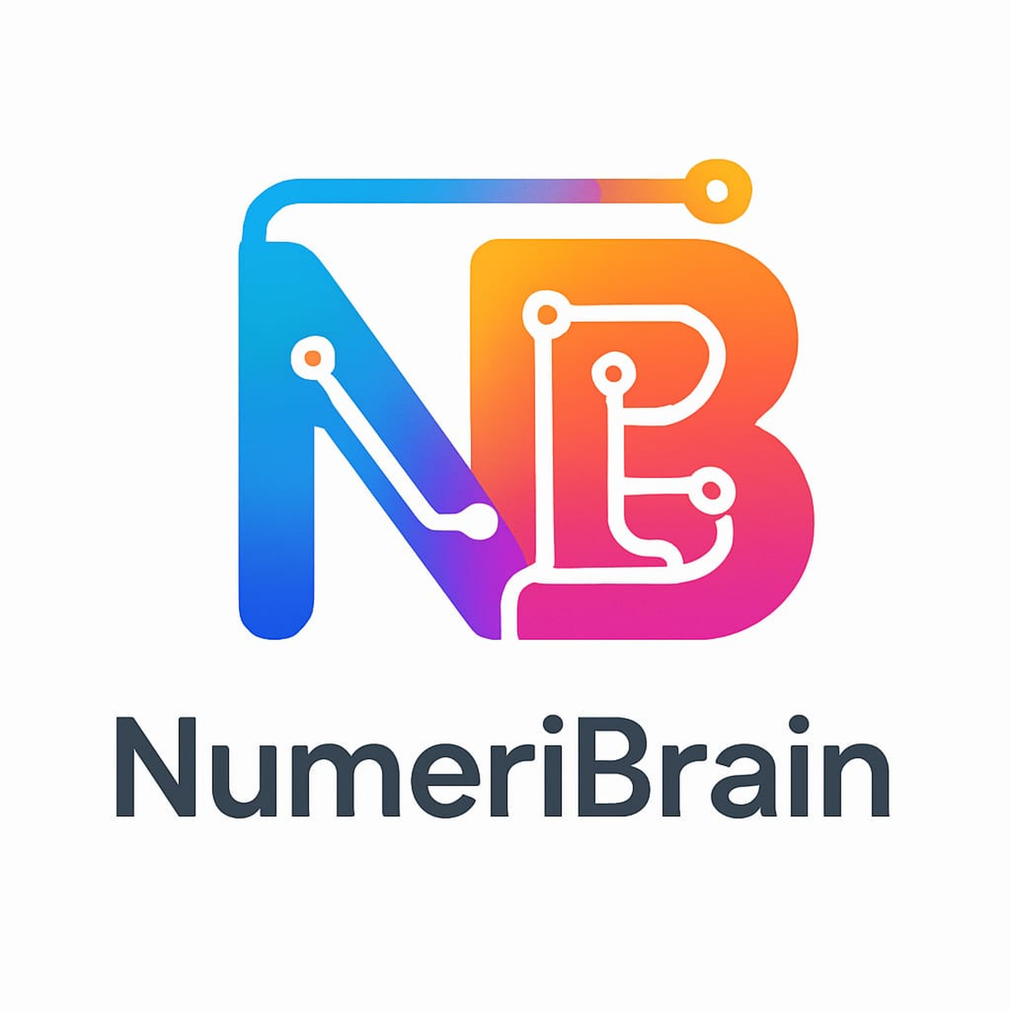 NumeriBrain